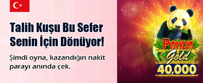 En Güncel Casino Deneyimi